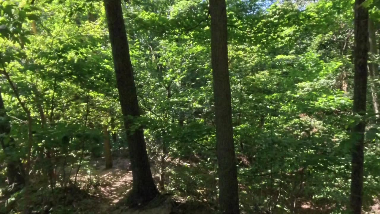 Saugatuck Dunes, Michigan