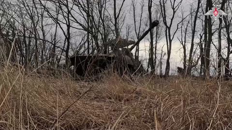 Russian marines planted flags