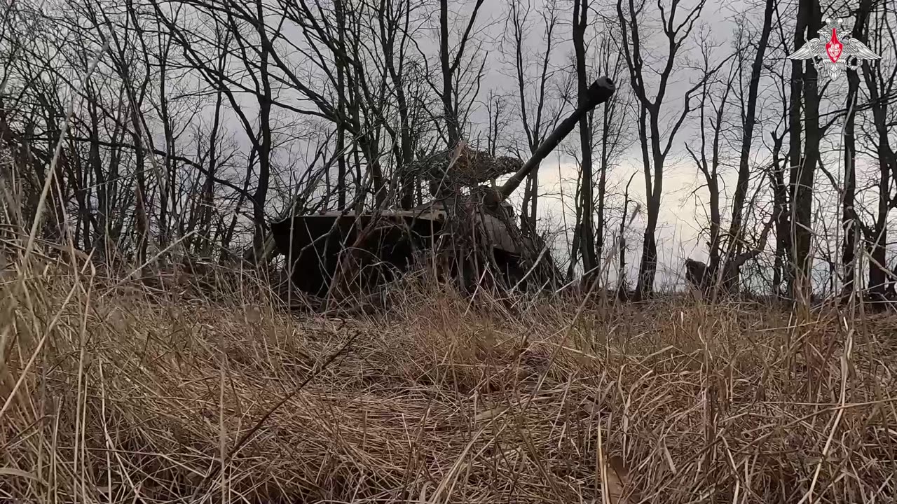 Russian marines planted flags