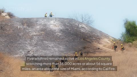 News From USA LOS ANGELES Wildfires