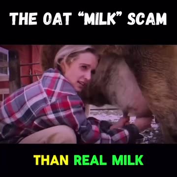 Oat Milk is Pure Poison