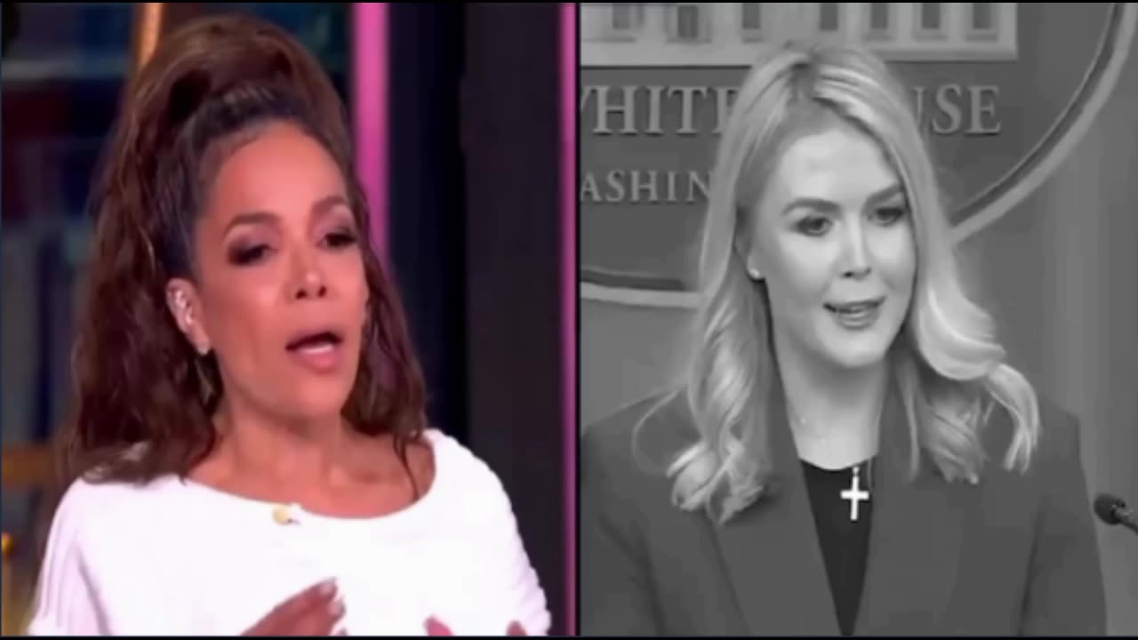 View co-host Sunny Hostin says undocumented immigrants are not Criminals🙄😣🤡