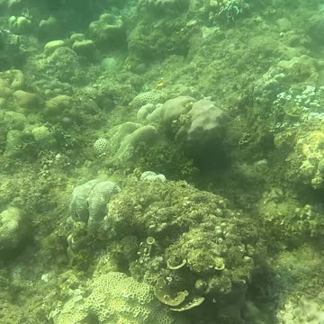 Underwater World, Snorkeling Day