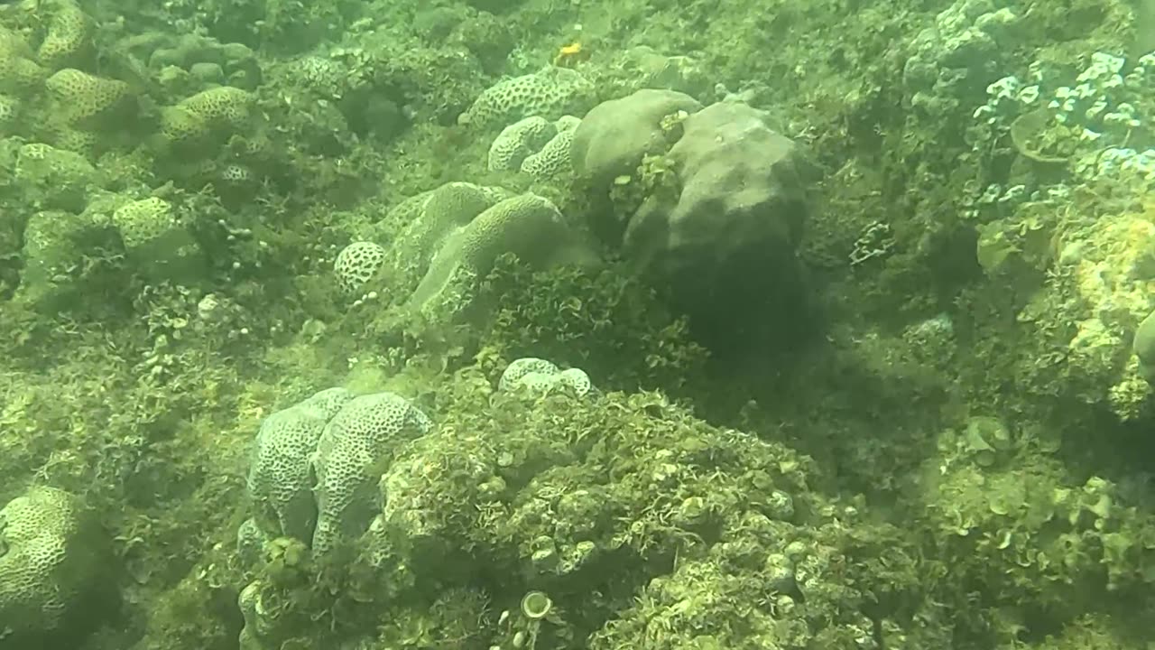 Underwater World, Snorkeling Day