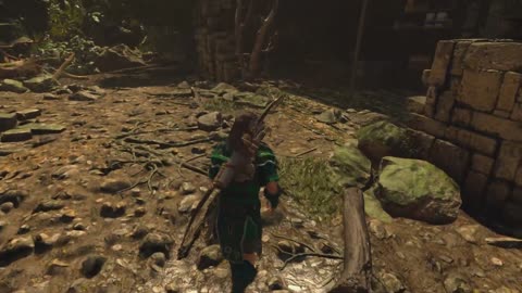 Shadow of the Tomb Raider (PC) E1.10