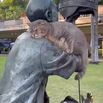 it just wants to be hugged.😿