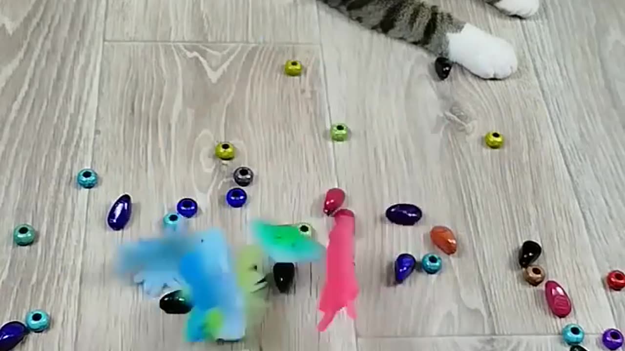 Cat Barsik 💎⭕ Reverse Video 🐙 #reversevideo #marblerunandmore #cat #funny