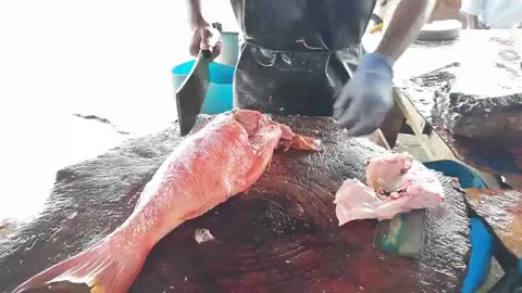 Cutting Red Wavy Lined Grouper _ Fish Cutting Skills