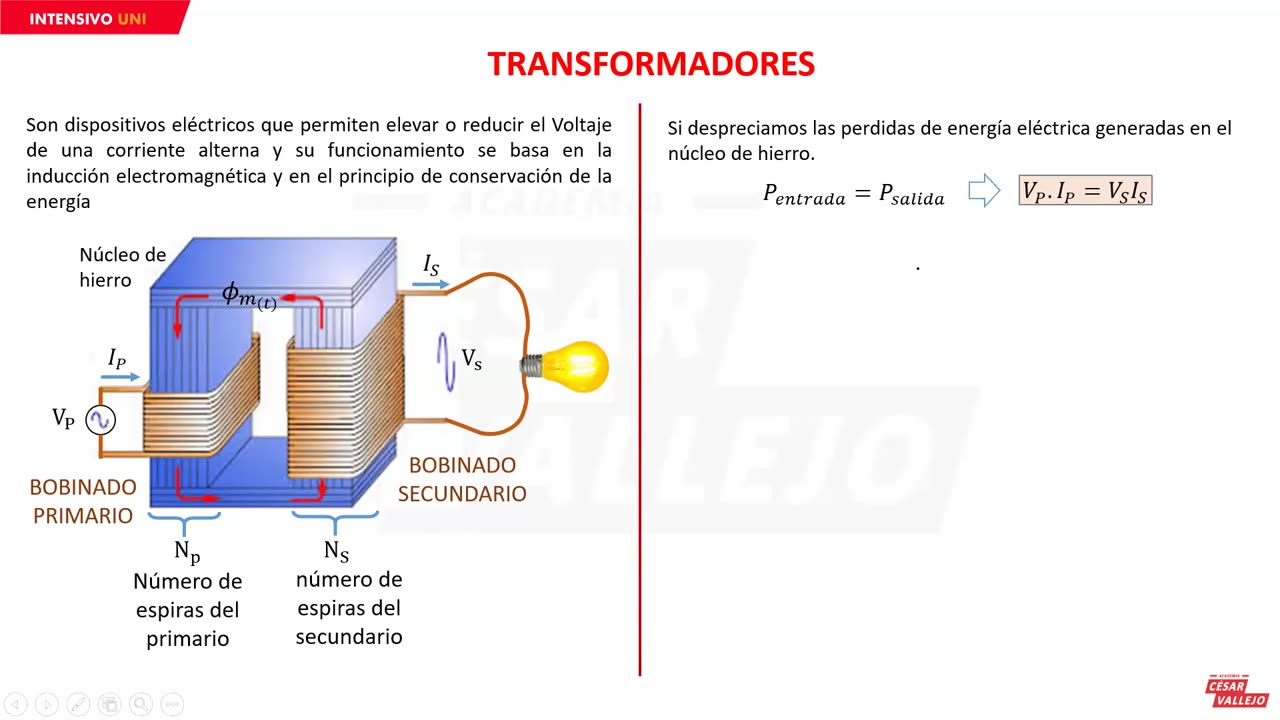 INTENSIVO VALLEJO 2024 | Semana 15 | Geografía | Física