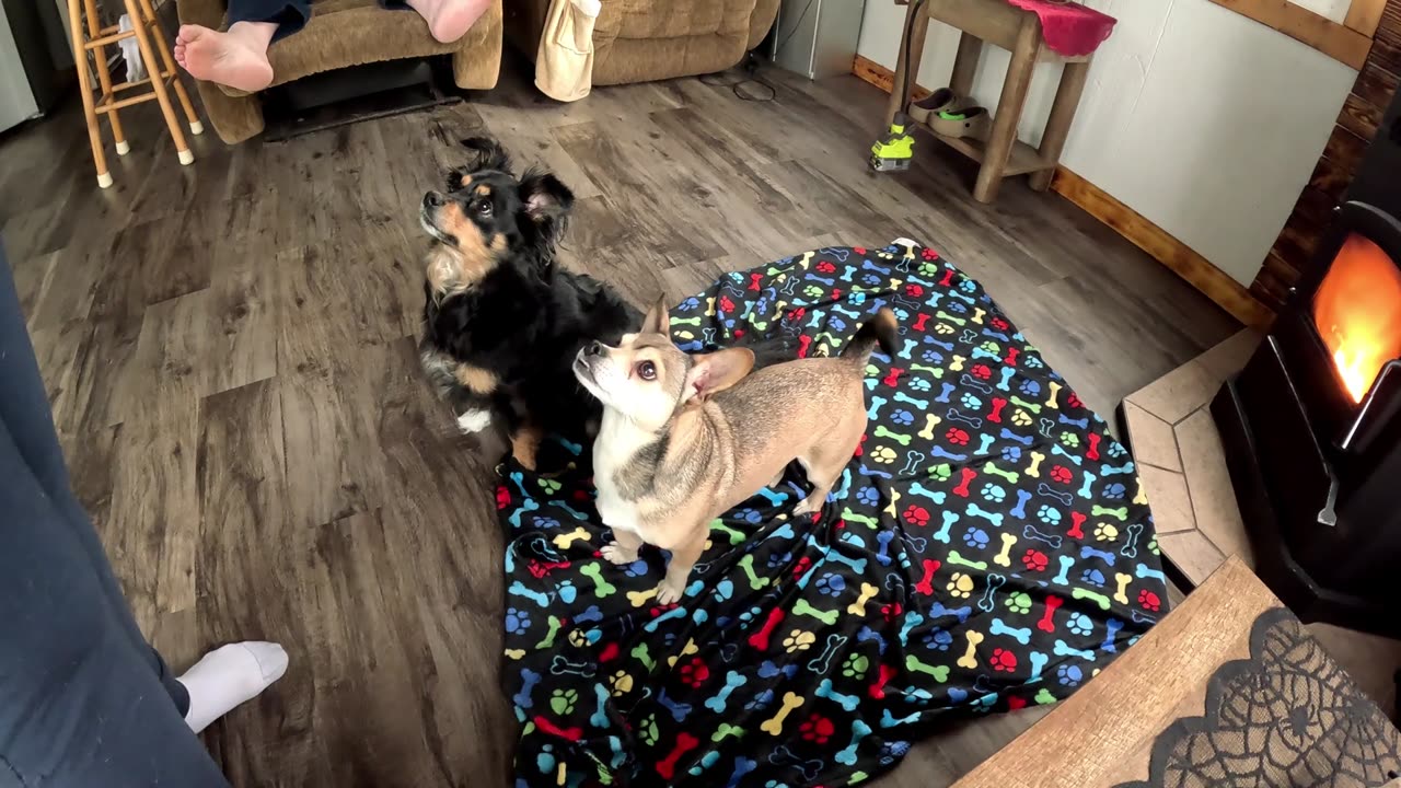 The babies get a new treat