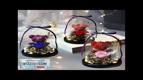 Eternal Preserved Flowers BearRose Lovely Teddy Bear In Heart Glass Dome Review