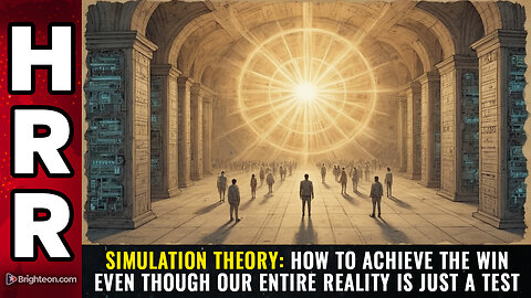 SIMULATION THEORY: How to achieve the WIN...