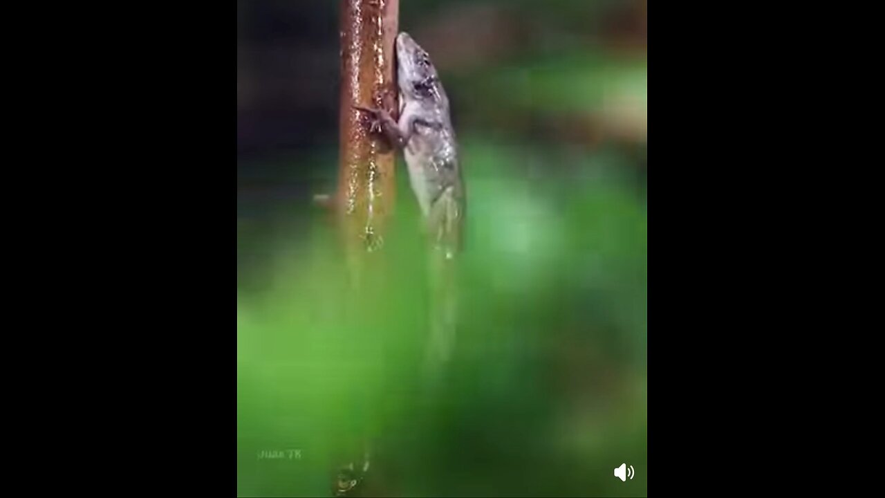 wow 😲😳