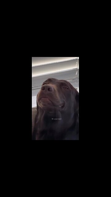 Something to do though.....