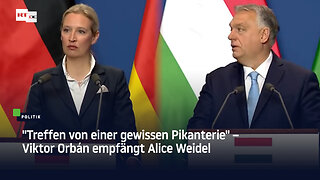 "Treffen von einer gewissen Pikanterie" – Viktor Orbán empfängt Alice Weidel