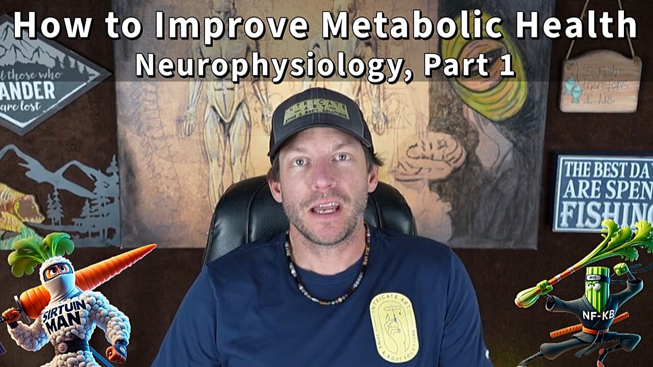 How to Improve Metabolic Health: Neurophysiology, Part 1