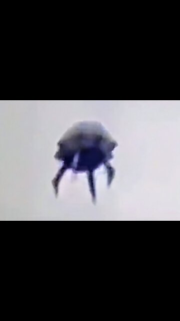 Beetle-like UFO Filmed Over Mexico (stabilized and enhanced)