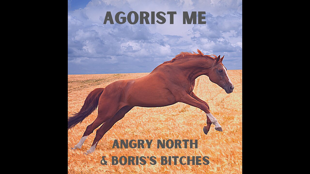 Agorist Me - A song by Angry North & Boris's Bitches