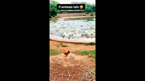 so funny animals 😅🤣😅 #funny