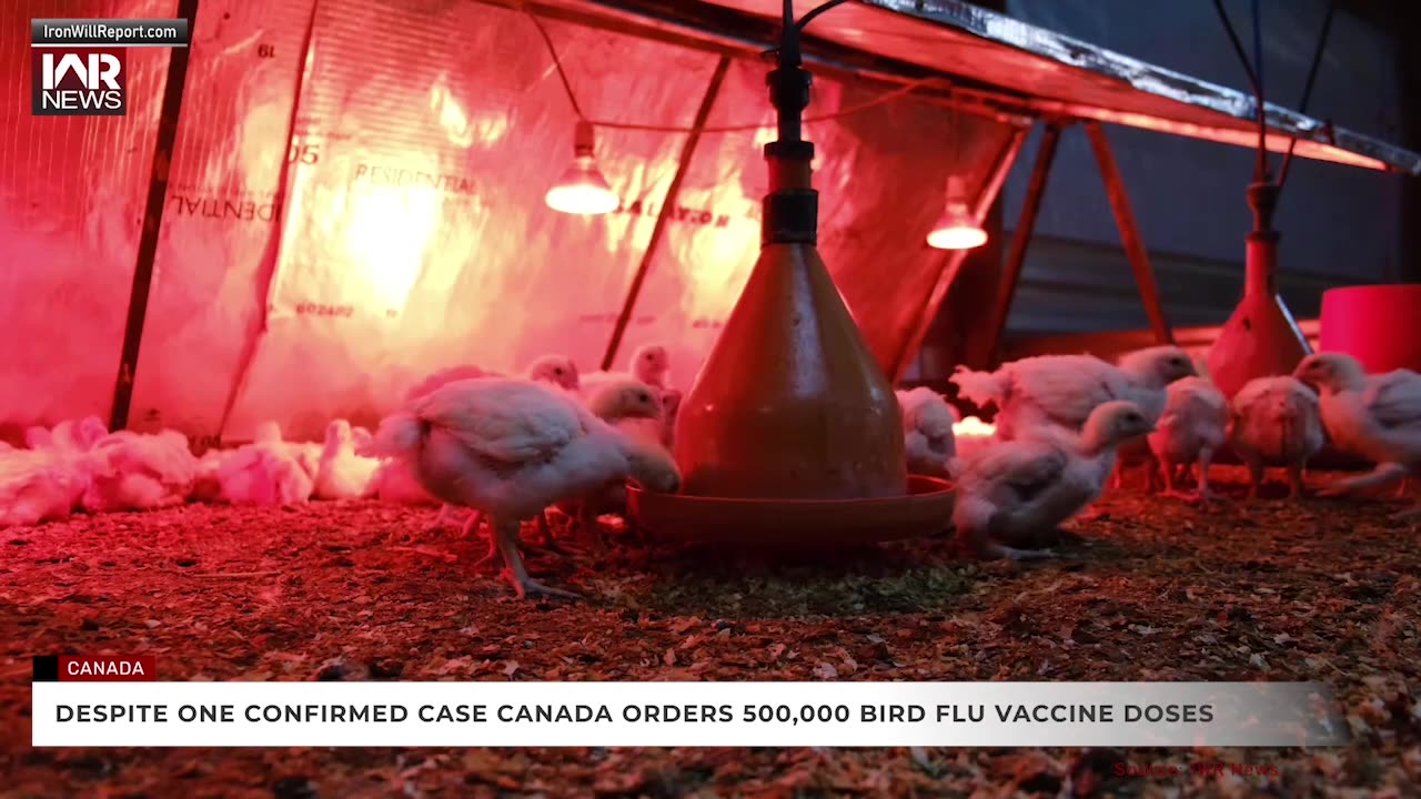 Despite One Confirmed Case Canada Orders 500,000 Bird Flu Vaccine Doses