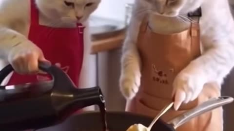 In today's date, even the cat cooks food