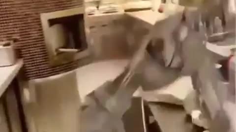Robots Gonna Fuck Ya