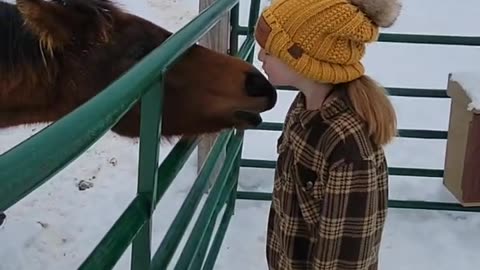 Horse Loves Giving Kid Kisses