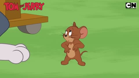 Funny Tom & Jerry - The Eternal Game of Chase Goes On