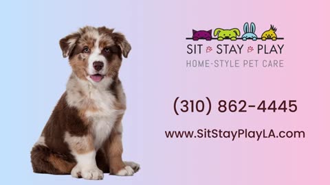 Dog walking Mar Vista * Call (310) 862-4445 | Sit Stay Play