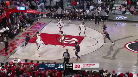 Auburn Tigers Vs. Georgia Bulldogs Full Game Highlights