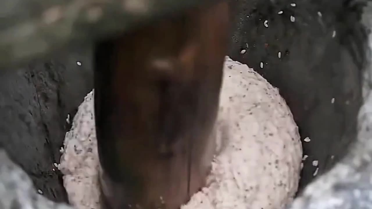 Traditional mountain dish #shorts #mountain #newvideo