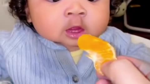 Cute Baby Videos| 037