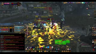 Turtle wow - PUG Dark Reaver - world boss - 14 February - Paladin POV