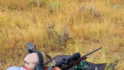 Savage 110 Bolt-Action Rifle with Woox Wild Man Stock!