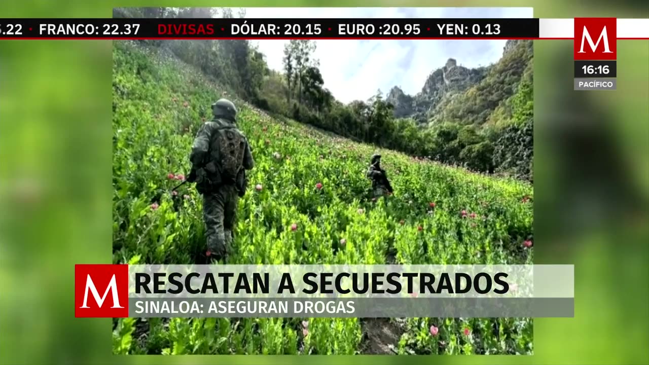 Fuerzas federales intensifican operativos en Sinaloa; rescatan a dos personas secuestradas