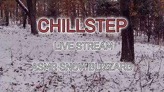 CHILLSTEP ASMR SNOW BLIZZARD MIX