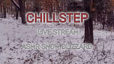 CHILLSTEP ASMR SNOW BLIZZARD MIX