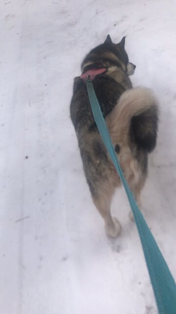 Saturday January 18, Be strong and courageous