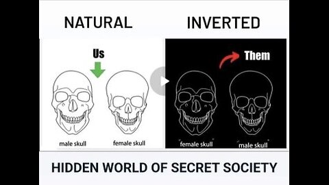 HIDDEN WORLD OF SECRET SOCIETY: BLINDED BY THE FALSE LIGHT - ELITEGENDERINVERSION #skull&bones dont lie