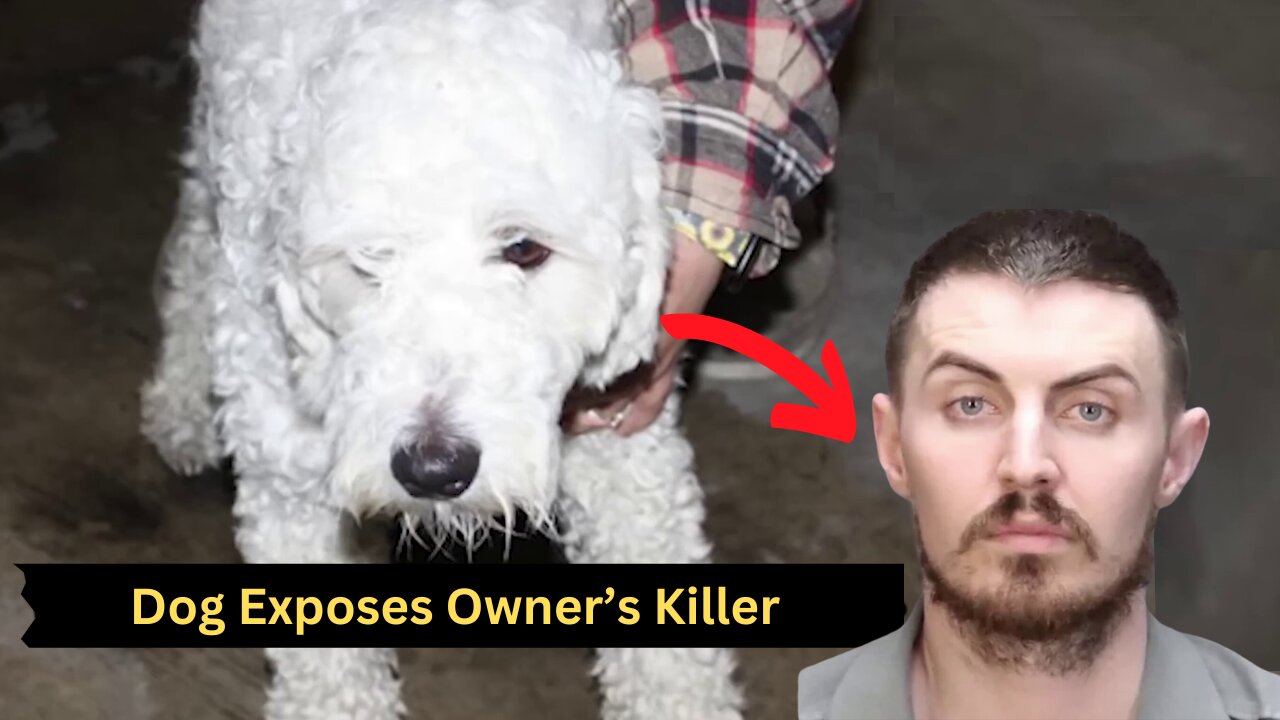 Dog Exposes Owner’s Killer After Horrific Murder @RealCrime #news #truecrime #murder