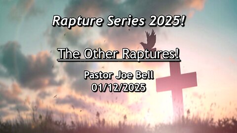 The Other Raptures