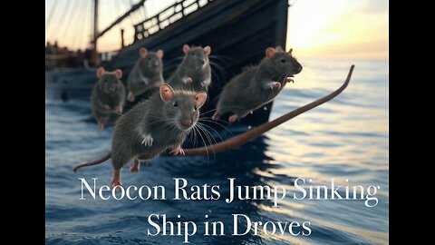 Neocon Rats Jump Sinking Ship in Droves: