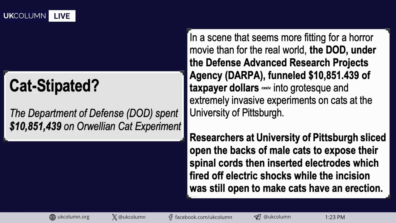 Rand Paul's Government Waste Report: From Ice-Skating Drag Queens to Cat Torture - UK Column News