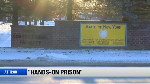 Watchdog Report: 4 in 5 Inmates Witnessed or Experienced Abuse By Staff at Marcy Correctional