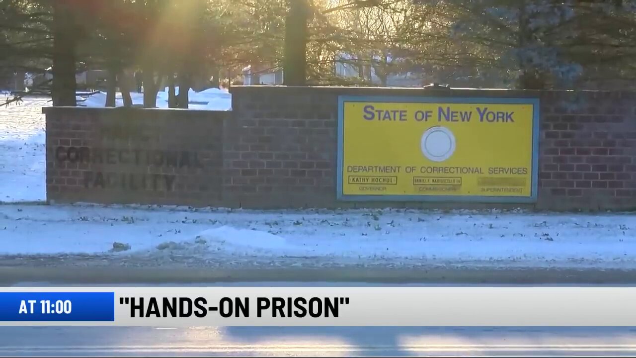 Watchdog Report: 4 in 5 Inmates Witnessed or Experienced Abuse By Staff at Marcy Correctional