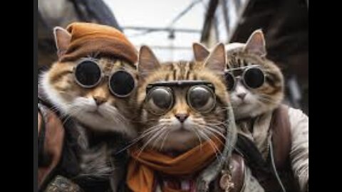 Lustige Tiere Crazy Animals Teil 15
