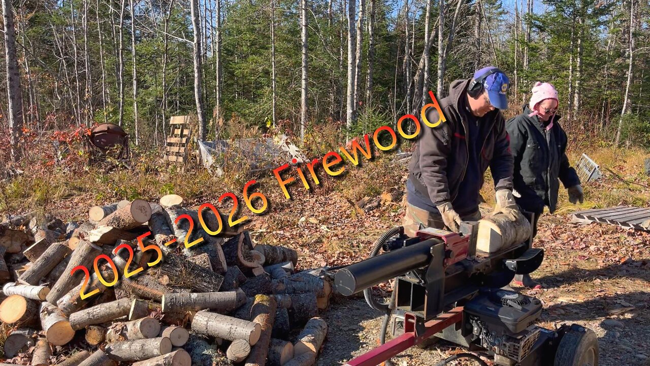 Firewood for winter of 2025/2026