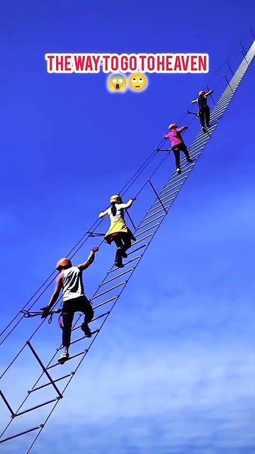 Who want to go to the haven 😇🙄