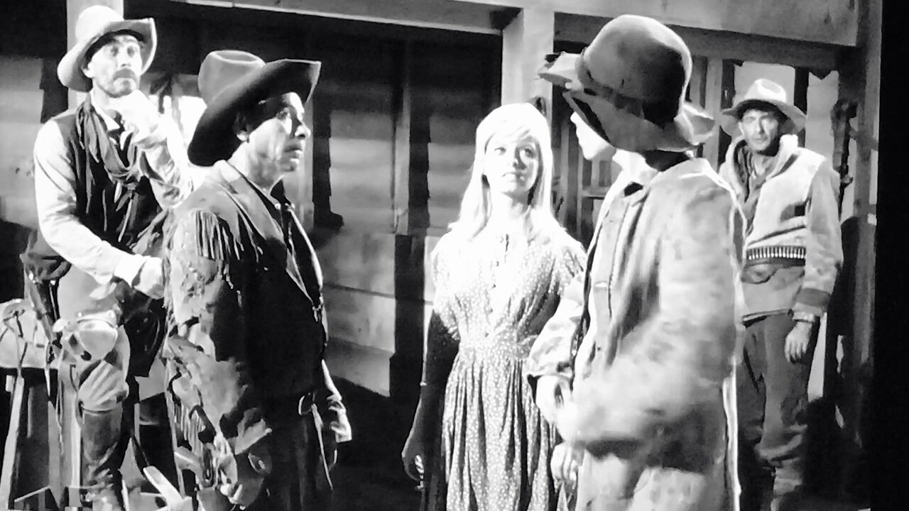 4 Haggens in 1 Barn 🤣