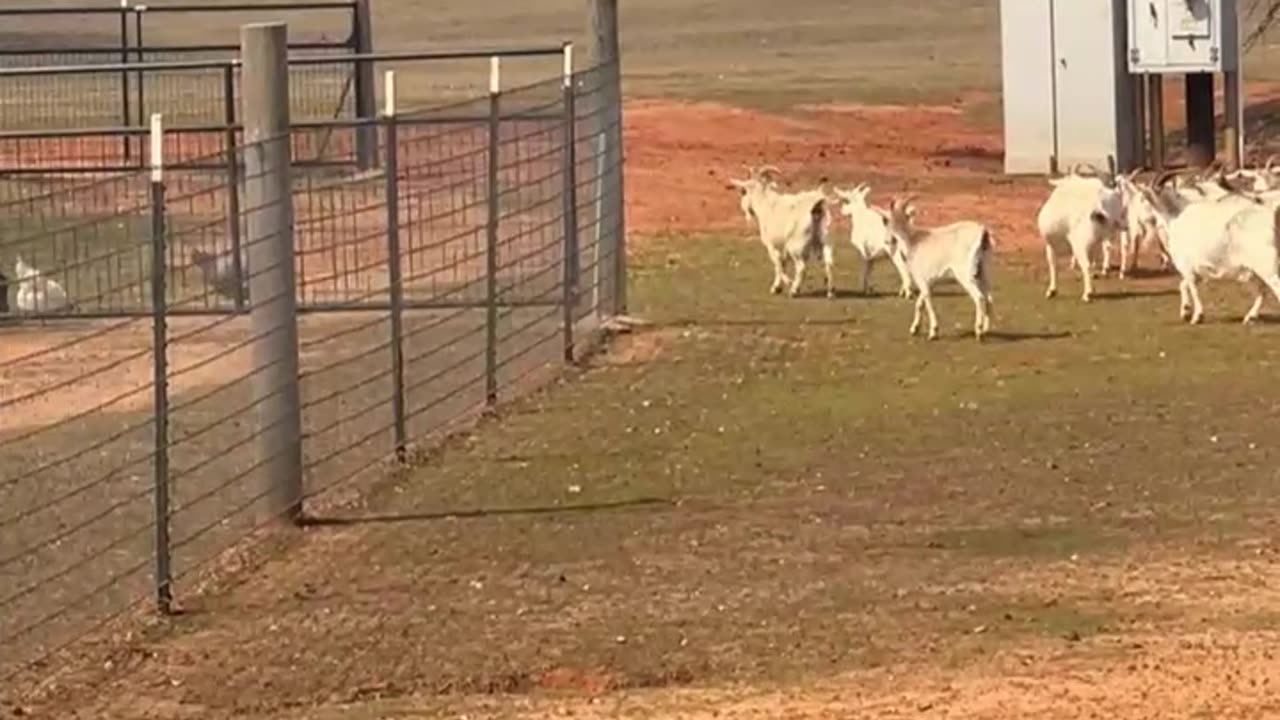 No Snacks for You, now Go and Play until Dinner